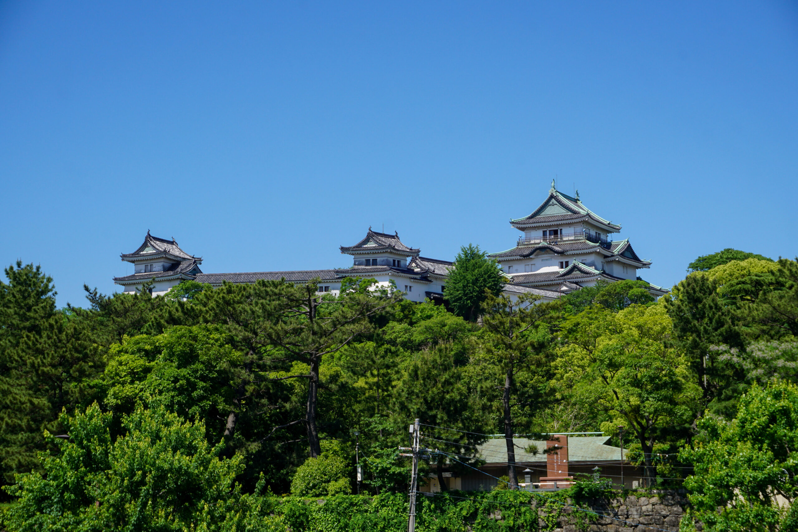 和歌山城3