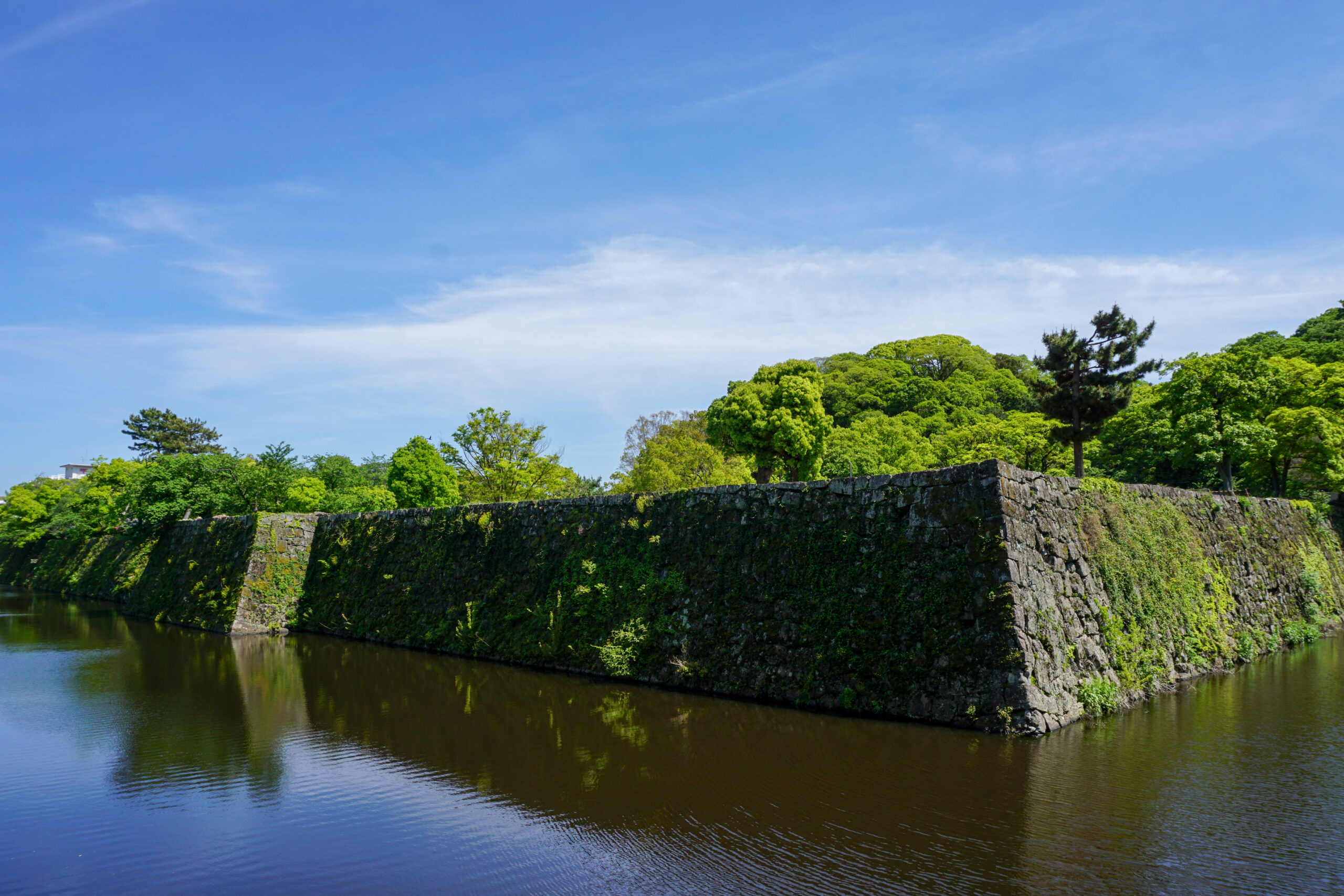 和歌山城9