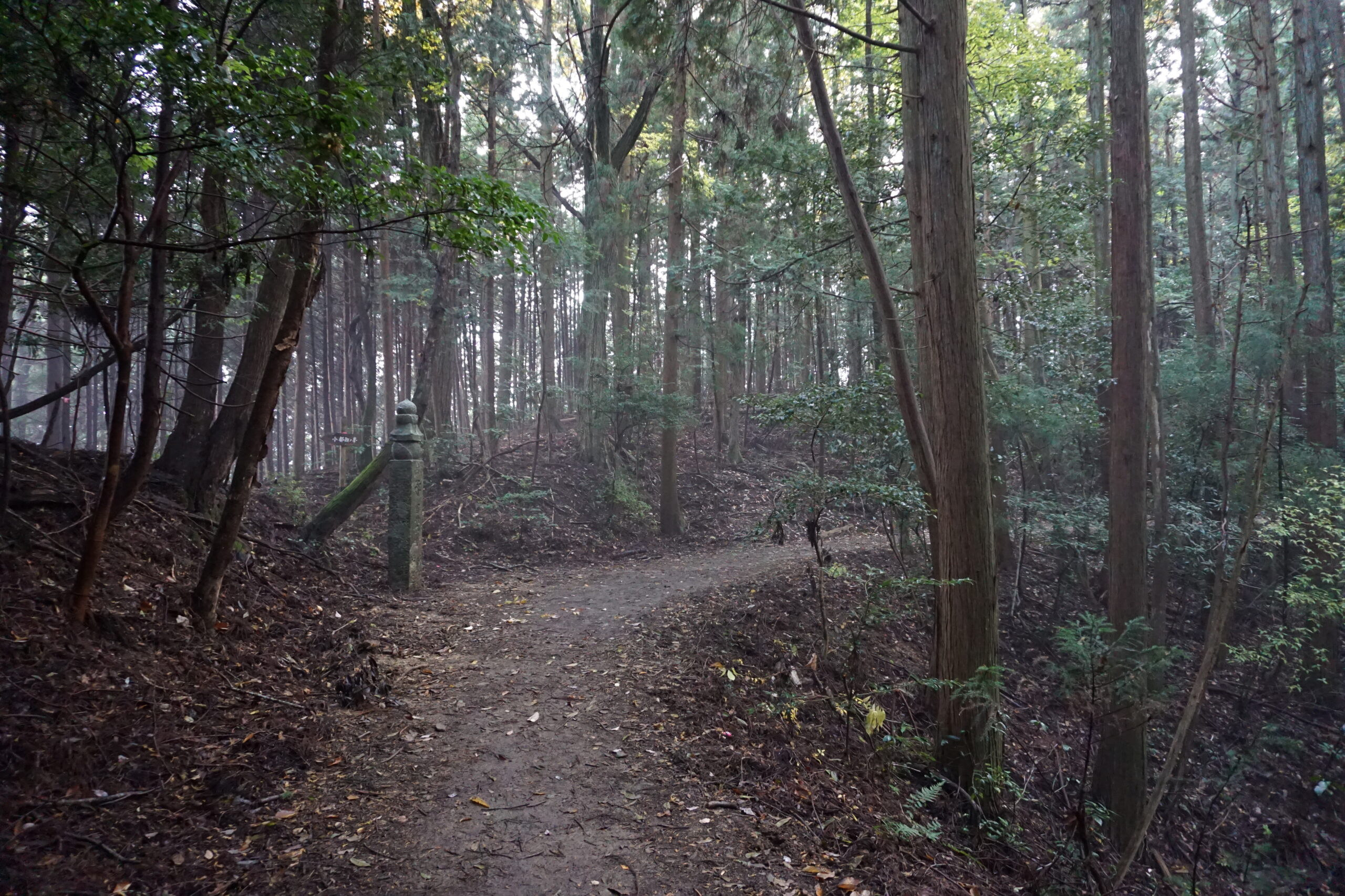 高野参詣道 町石道2