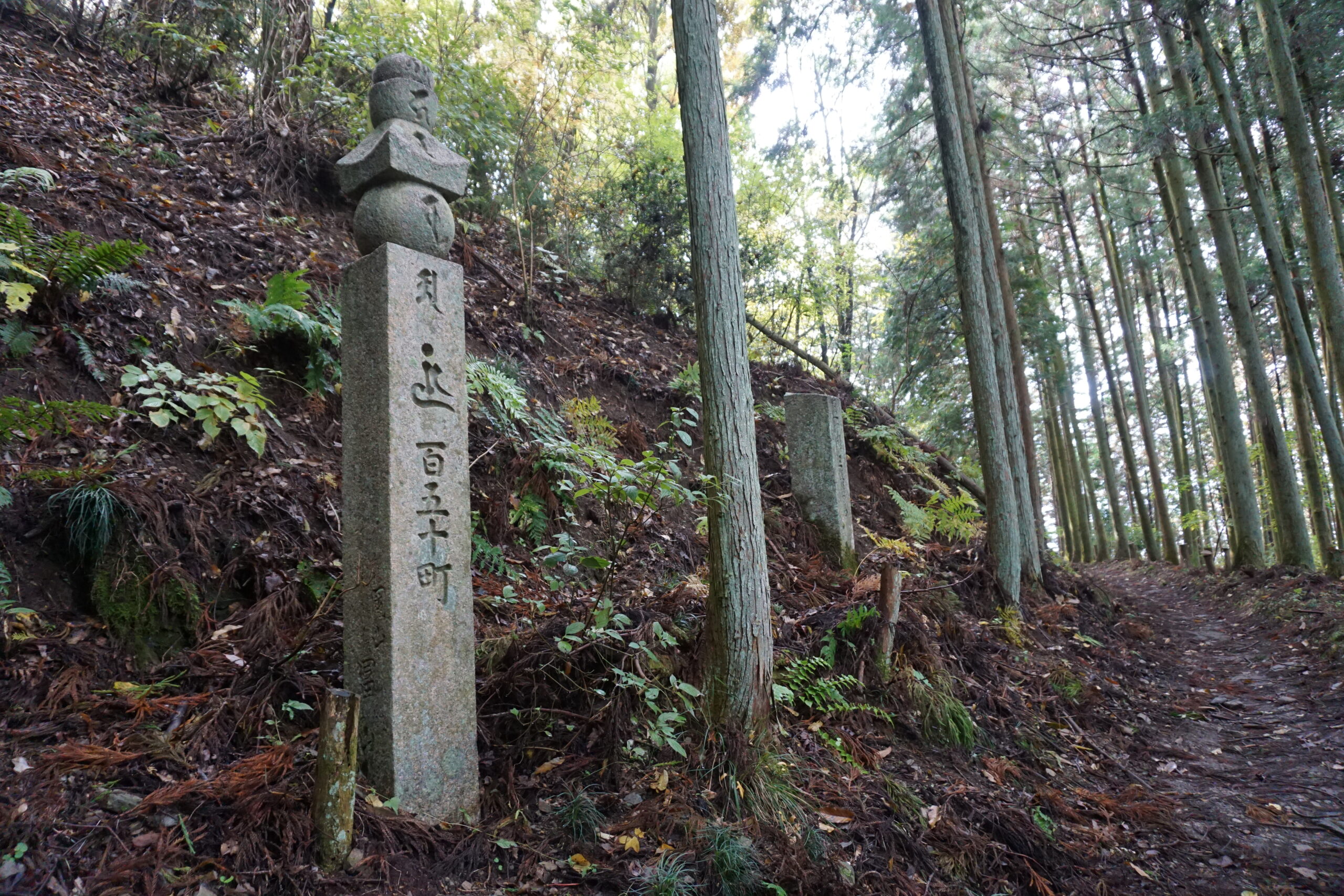 高野参詣道 町石道