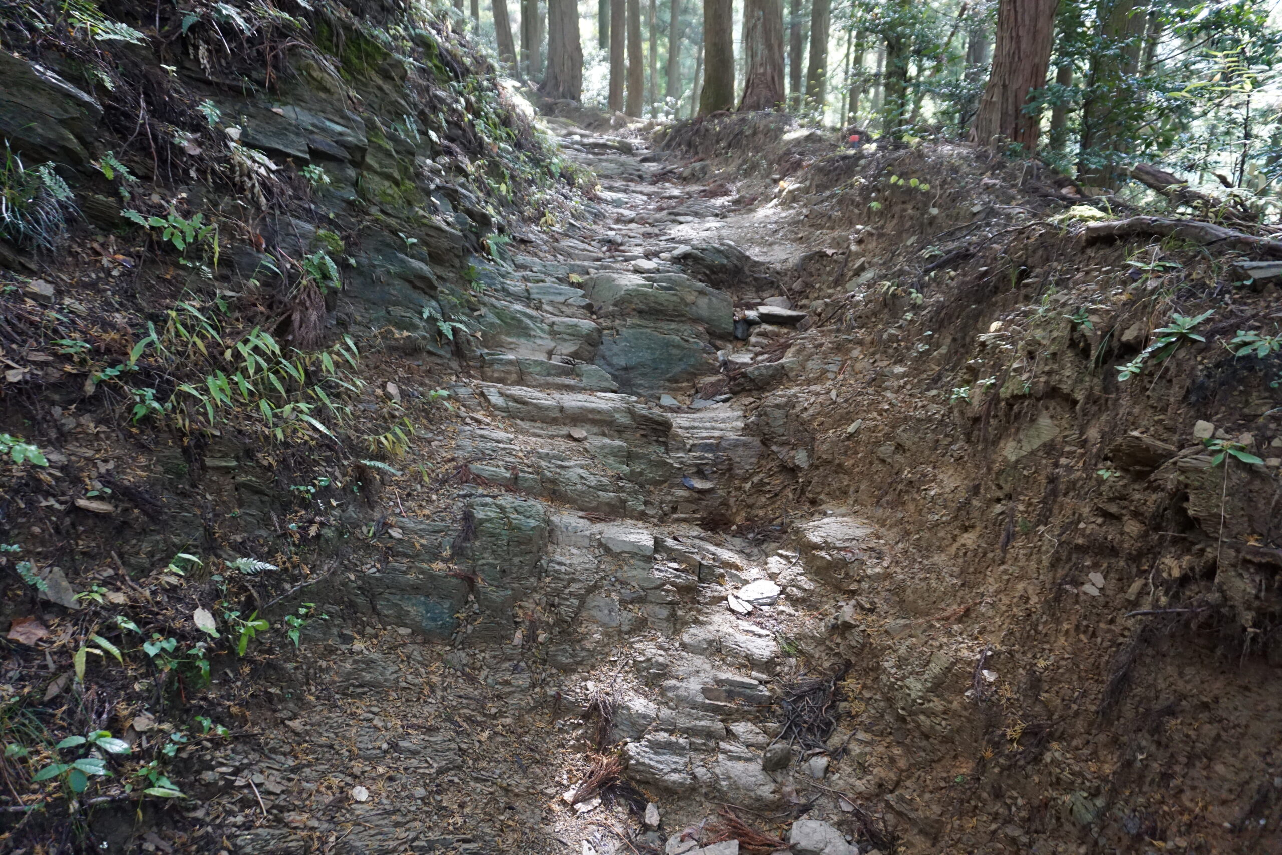 高野参詣道 町石道6