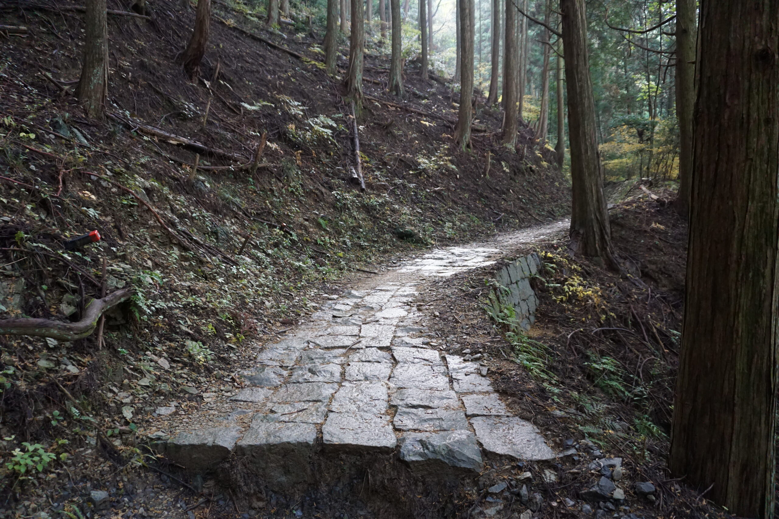 高野参詣道 町石道9