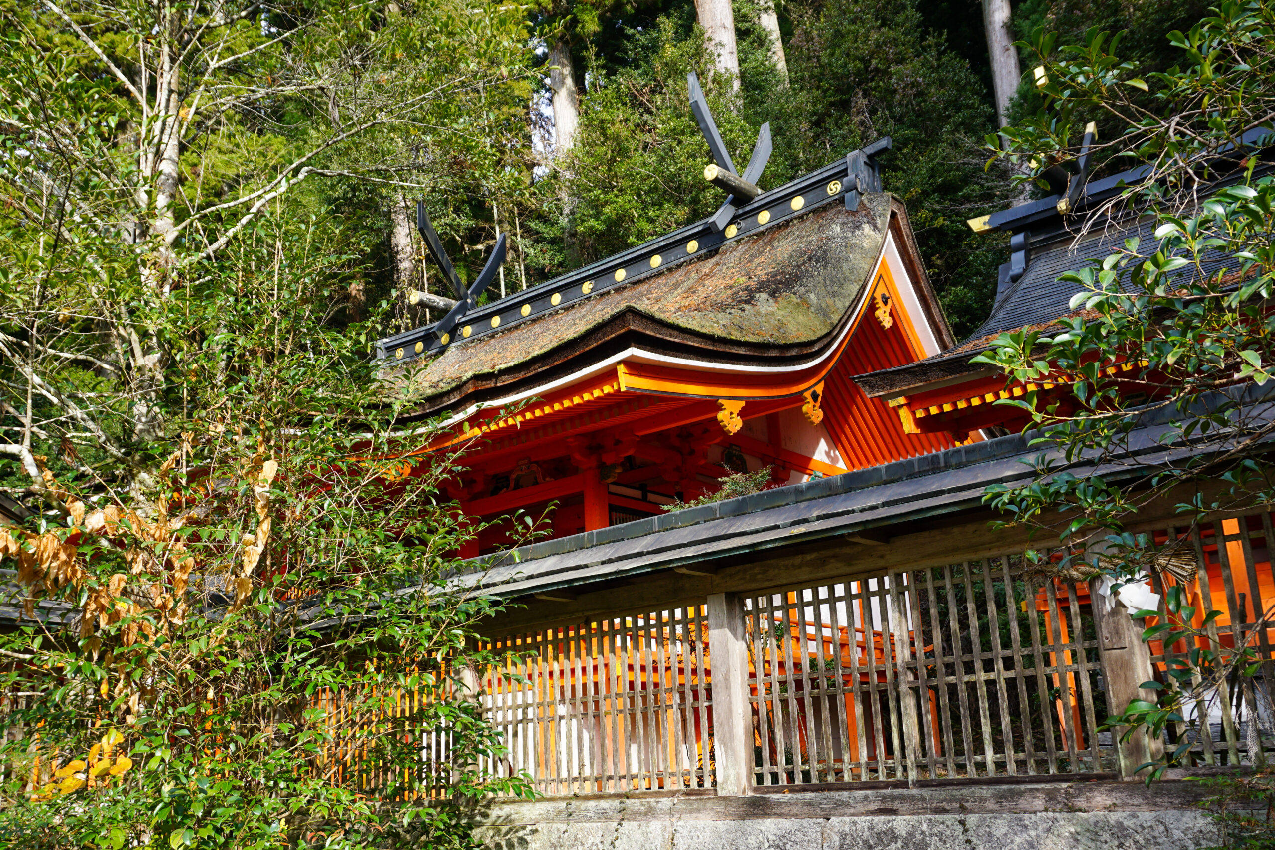 鞆淵八幡神社本殿1