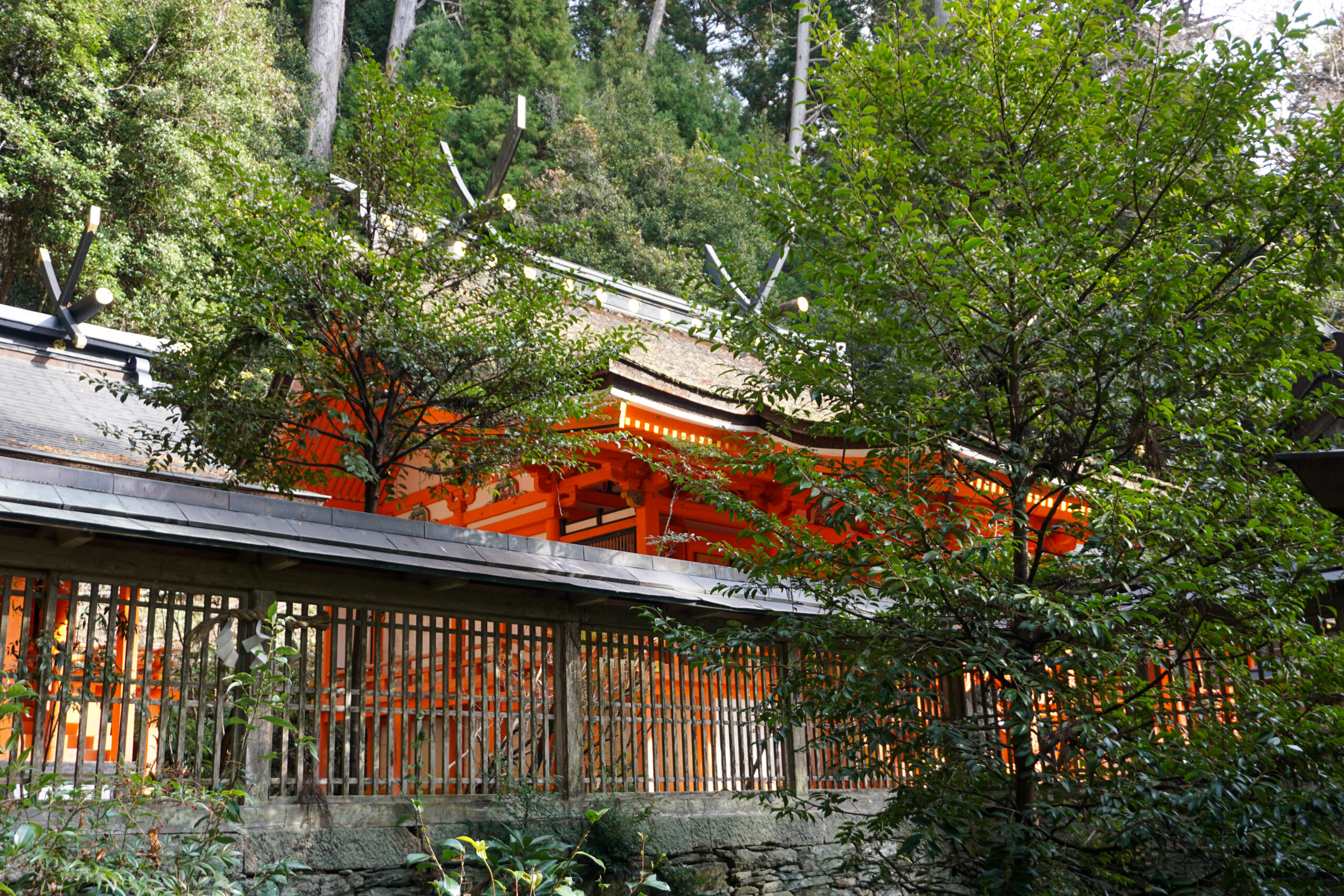 鞆淵八幡神社本殿2