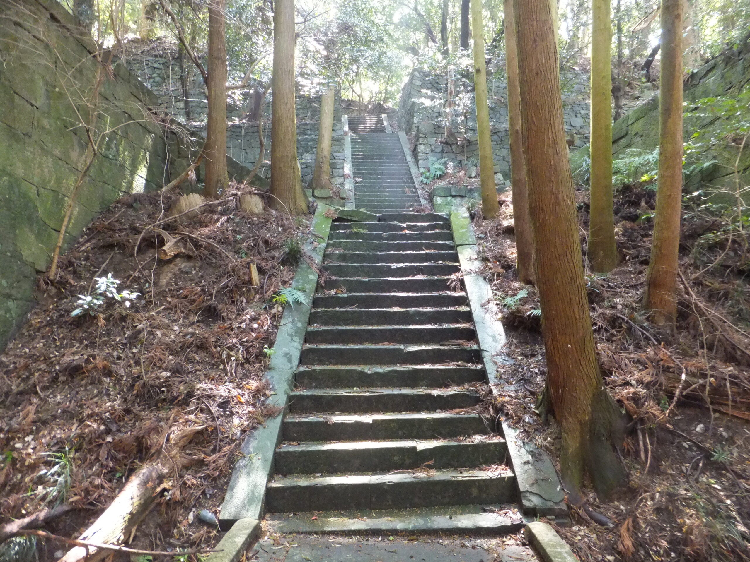 和歌山藩主徳川家墓所4