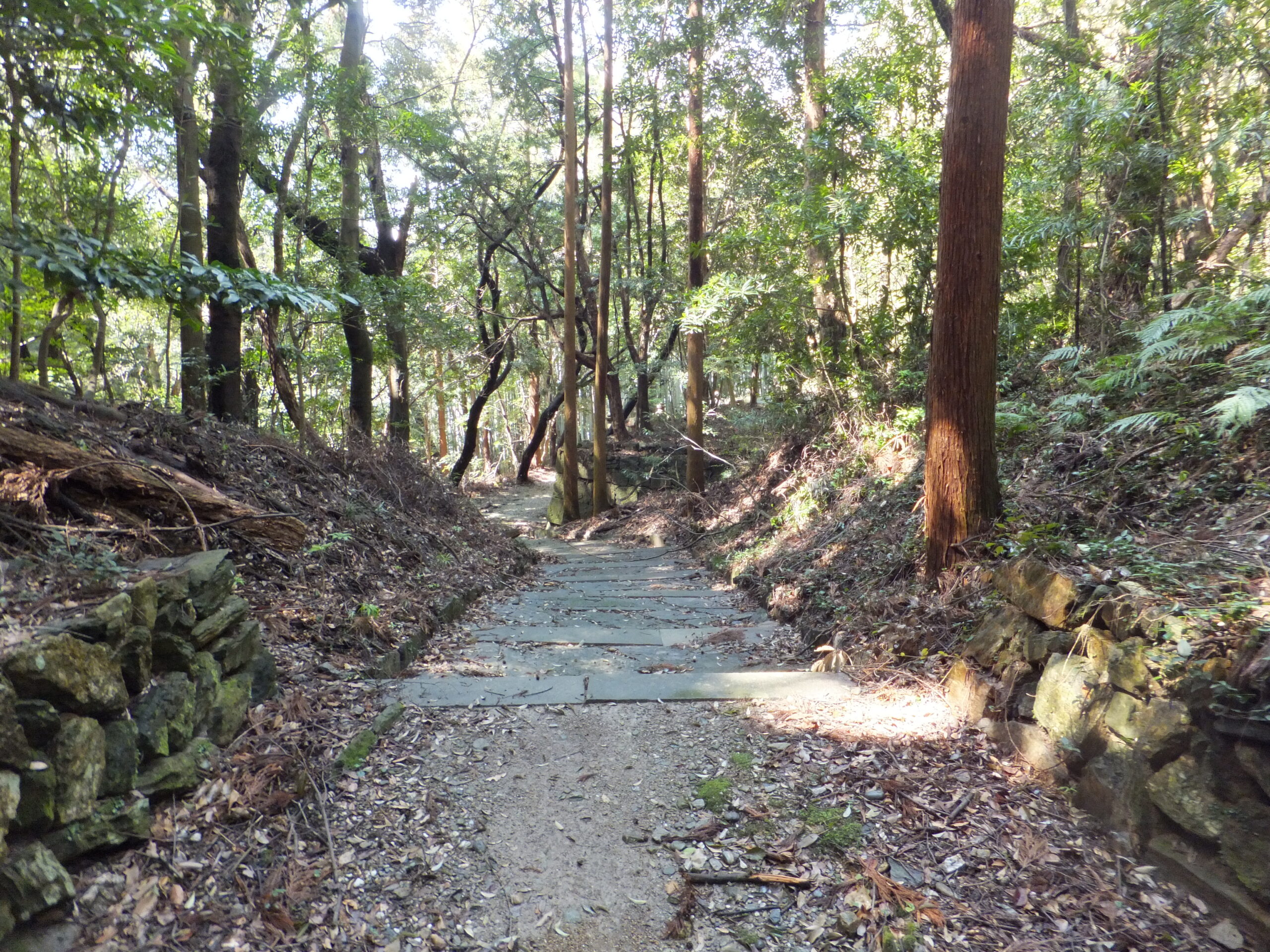 和歌山藩主徳川家墓所6