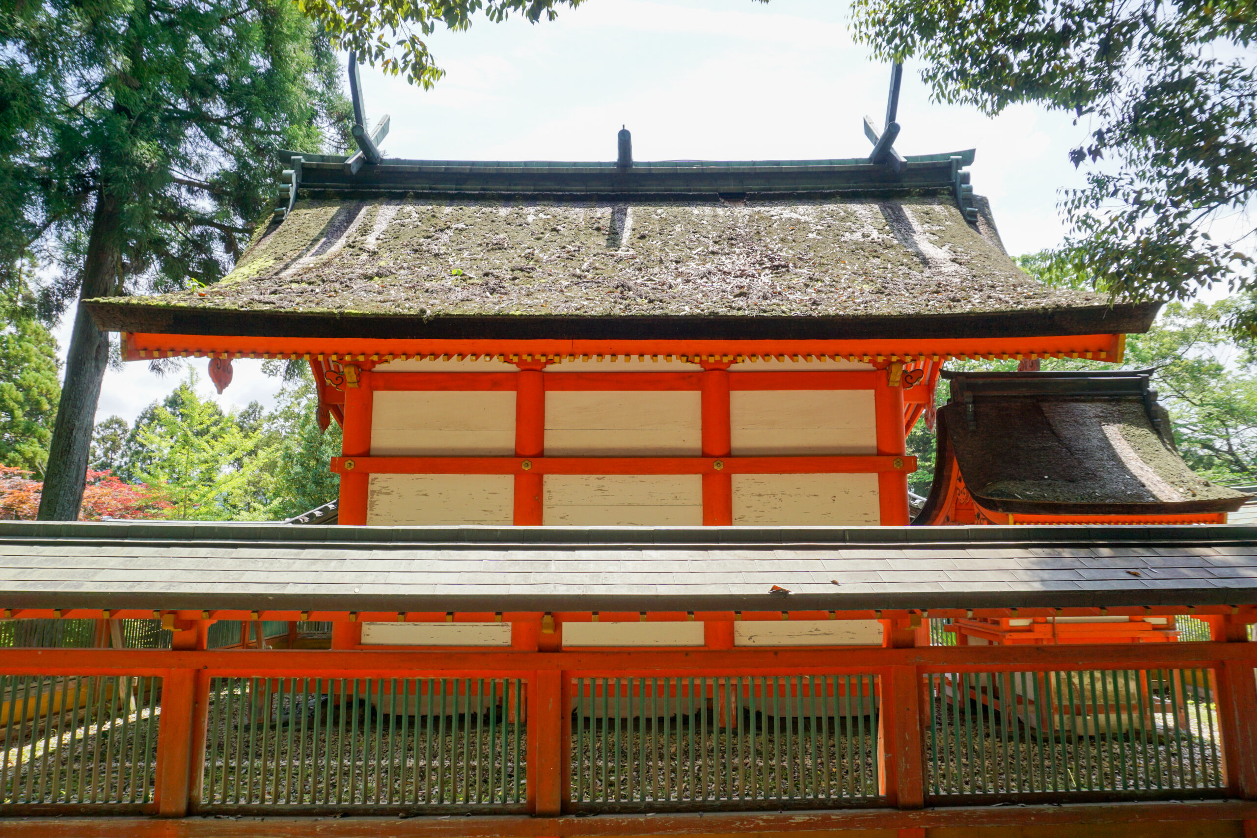 野上八幡宮本殿3