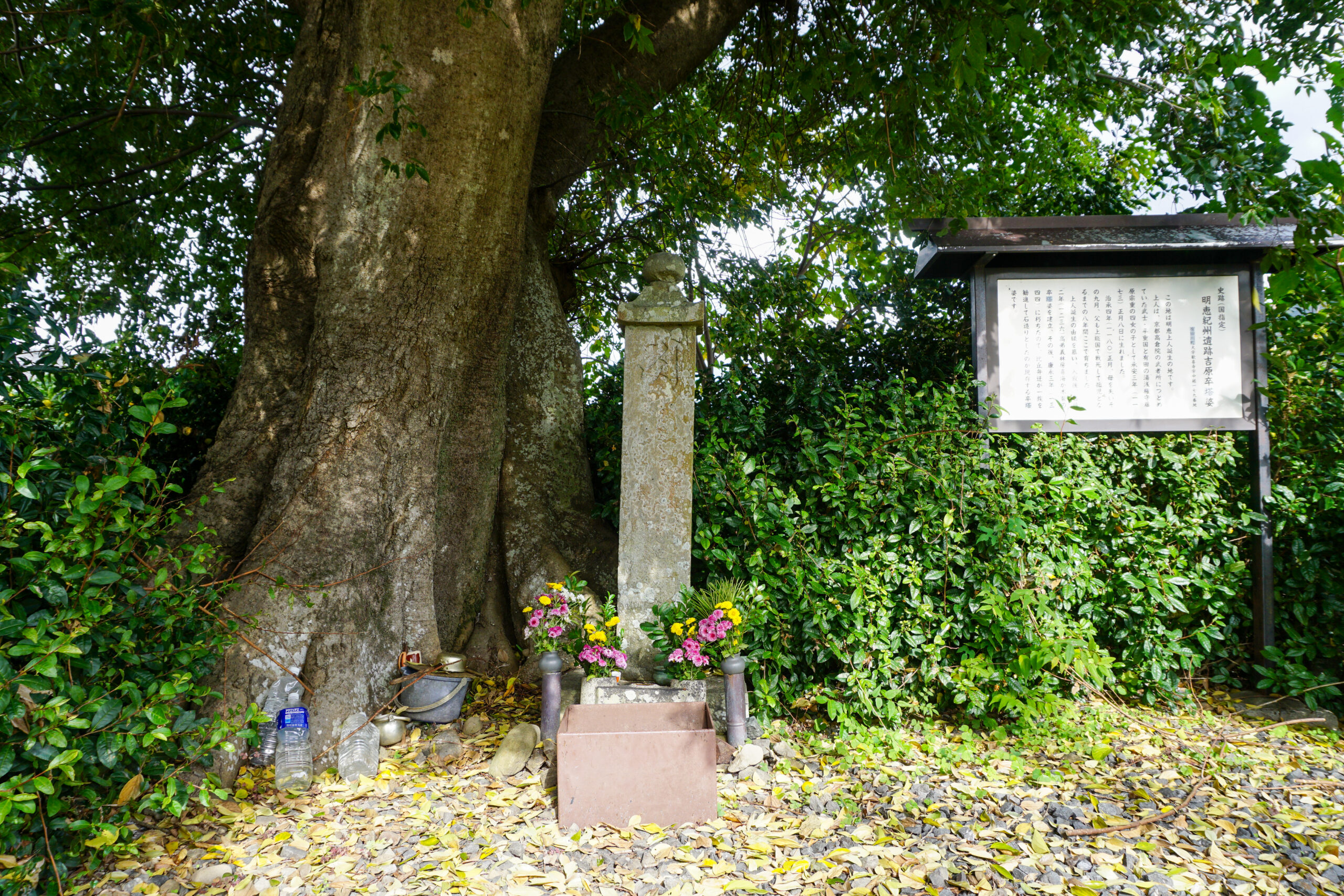 明恵紀州遺跡率都婆（神谷遺跡・糸野遺跡・吉原遺跡・筏立遺跡）3