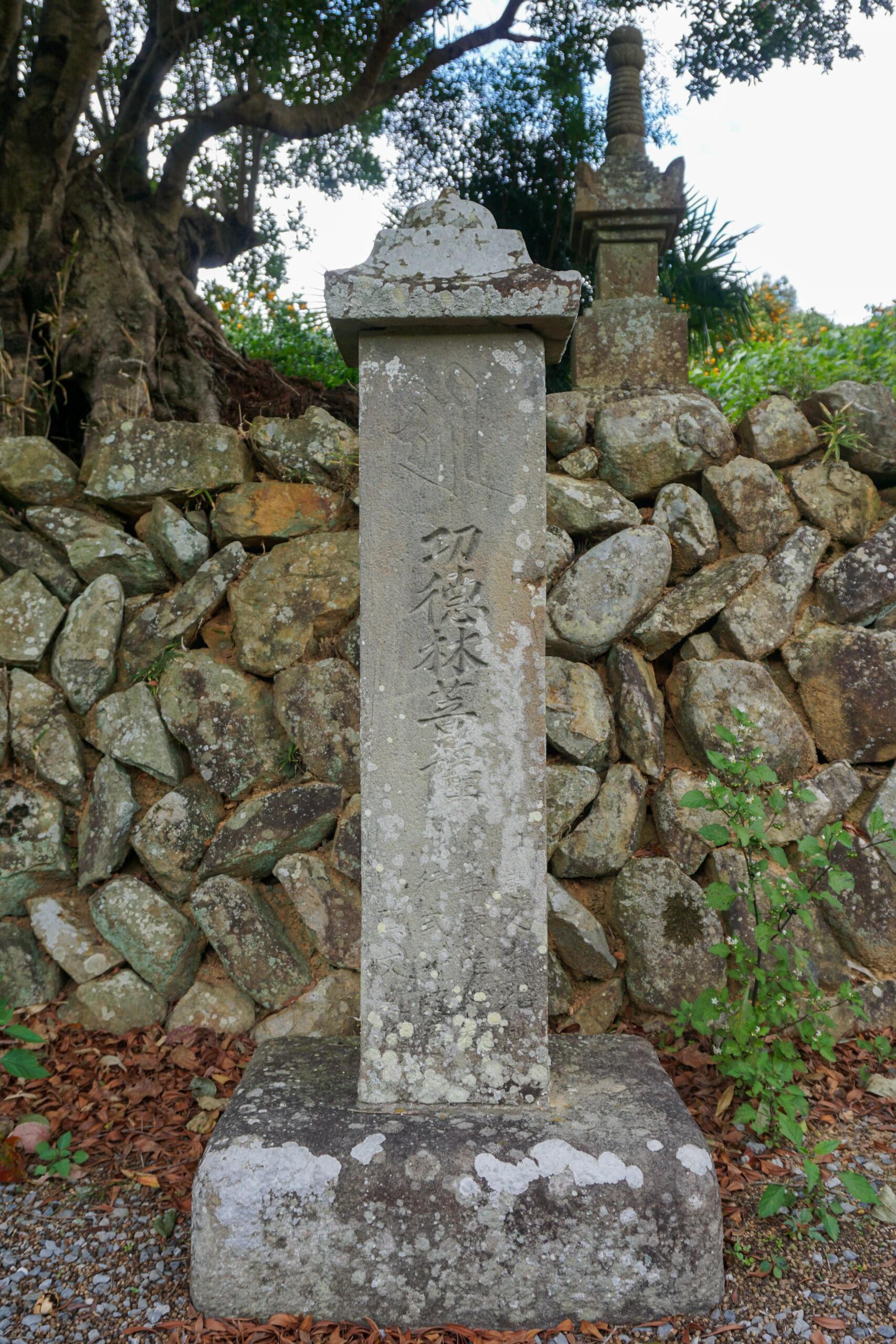 明恵紀州遺跡率都婆（神谷遺跡・糸野遺跡・吉原遺跡・筏立遺跡）6