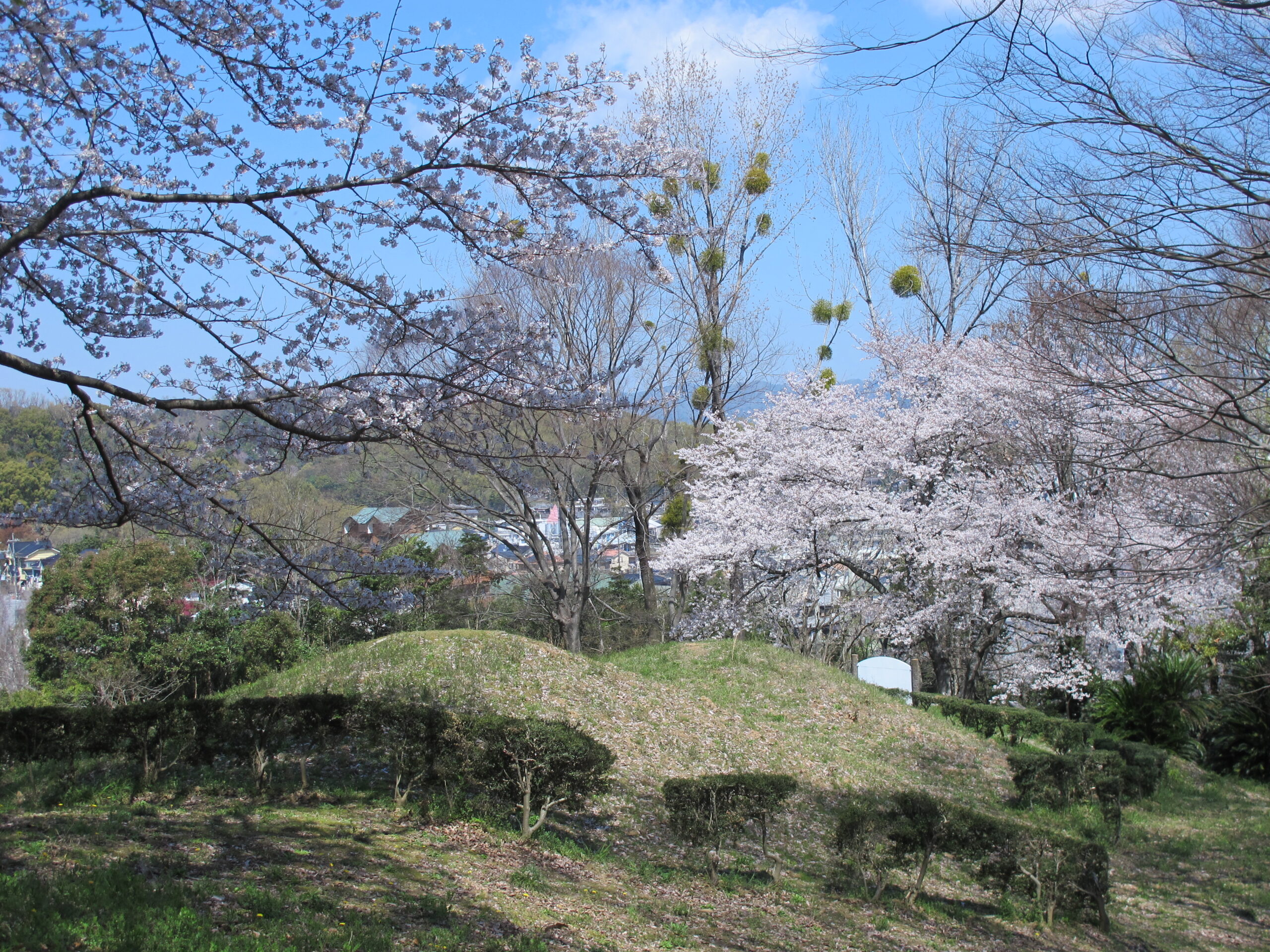 岩橋千塚古墳群4