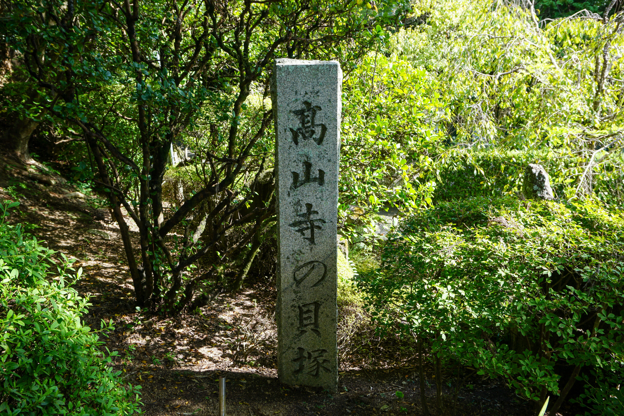 高山寺貝塚2