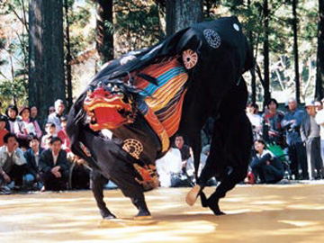 上野の獅子舞1