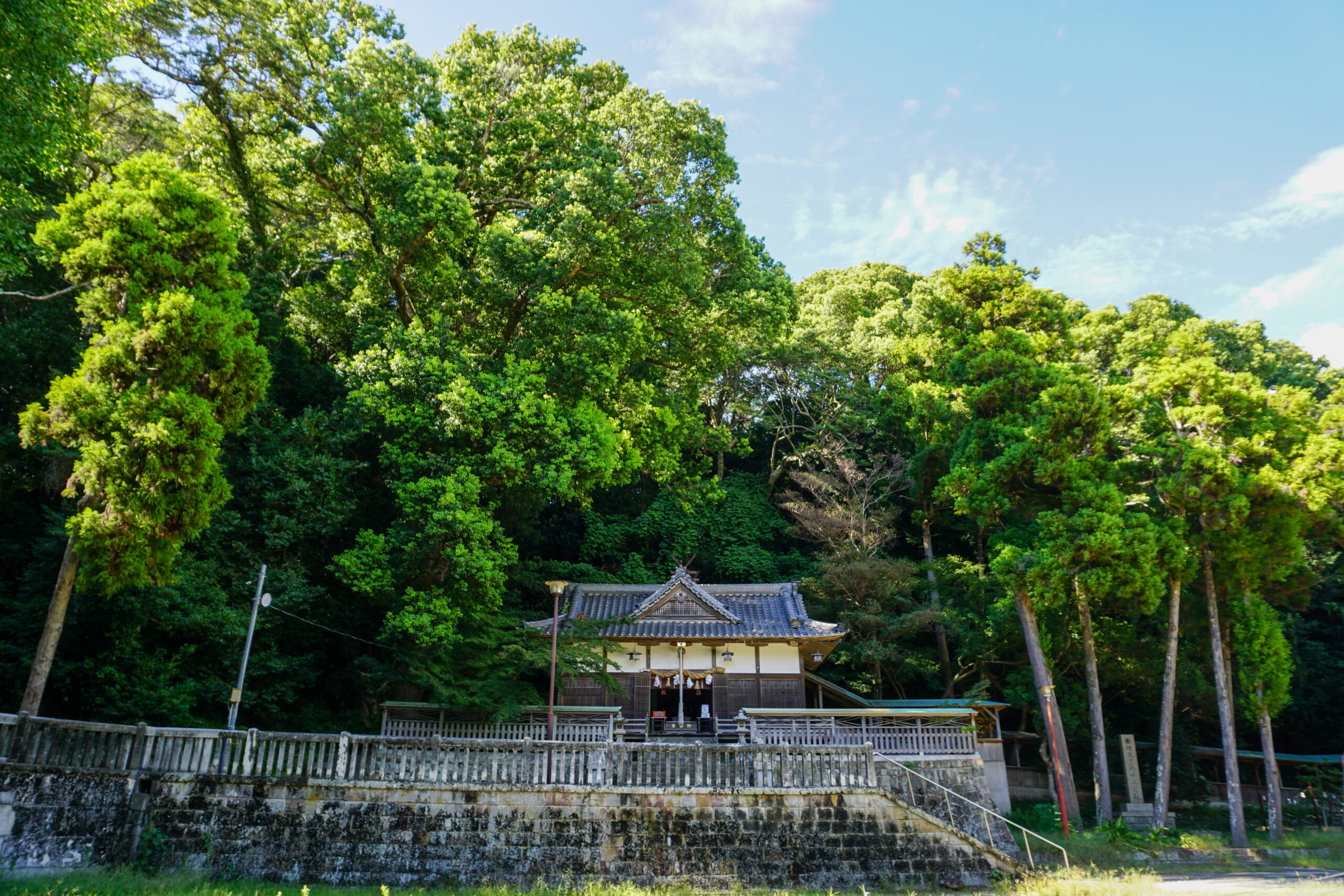 熊野三所神社の社叢