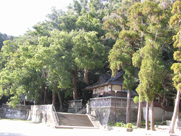 熊野三所神社の社叢