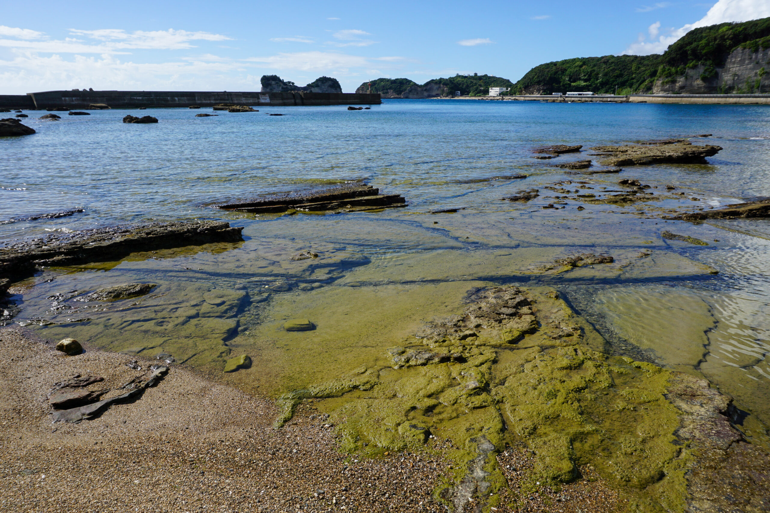 白浜の泥岩岩脈