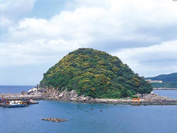 稲積島暖地性植物群落