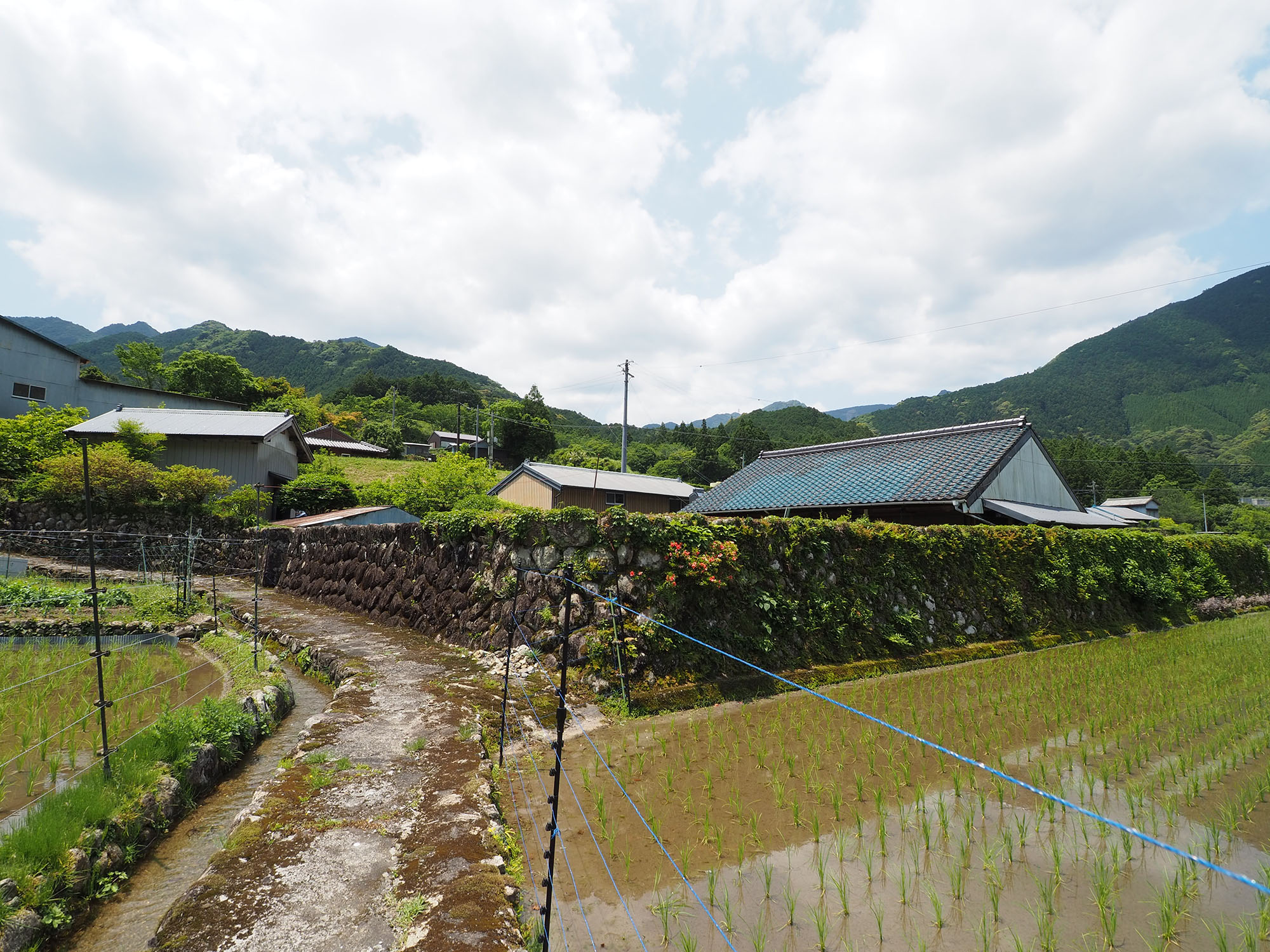 岡﨑家住宅（旧栗須家住宅）5