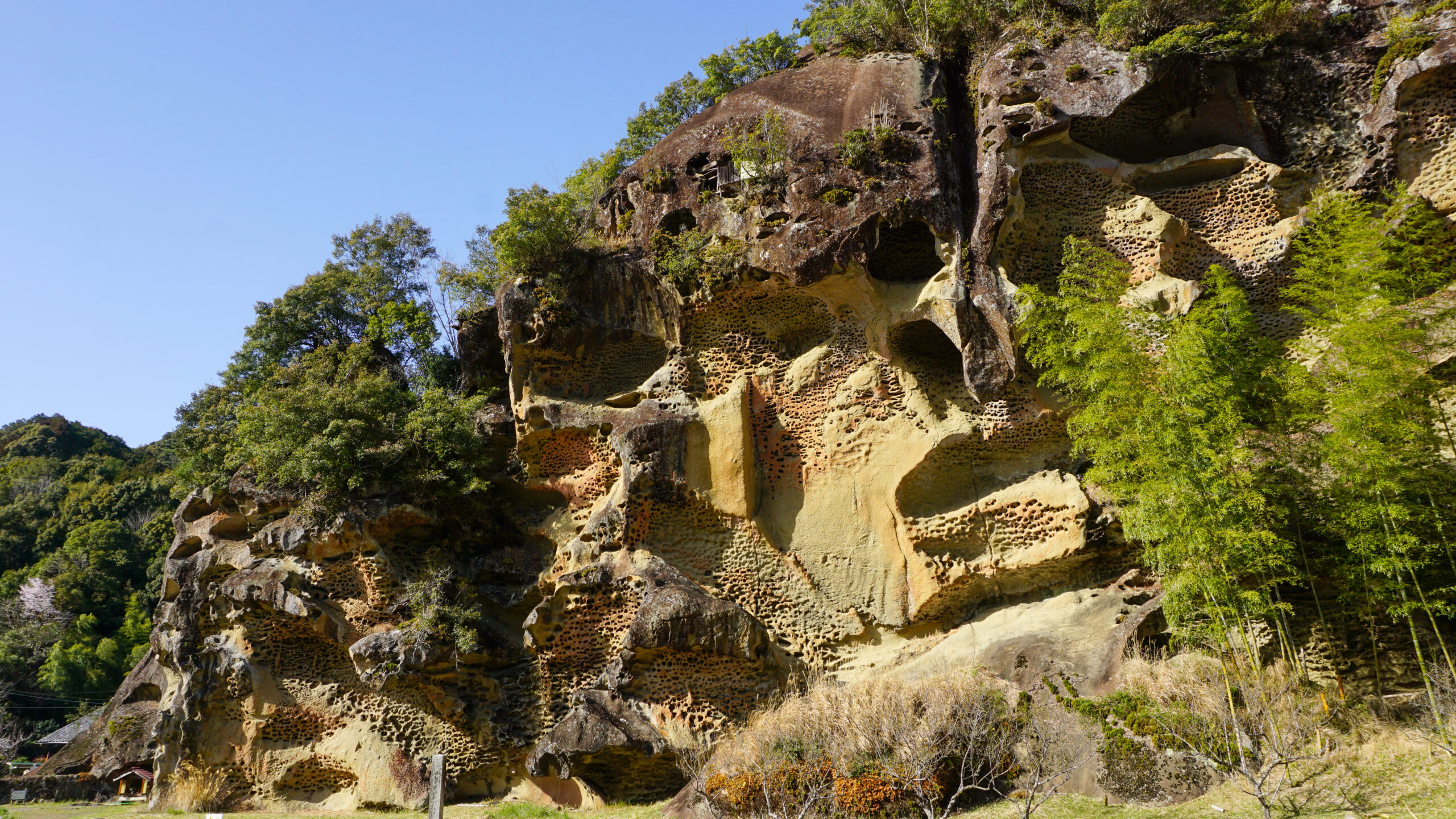 高池の虫喰岩2