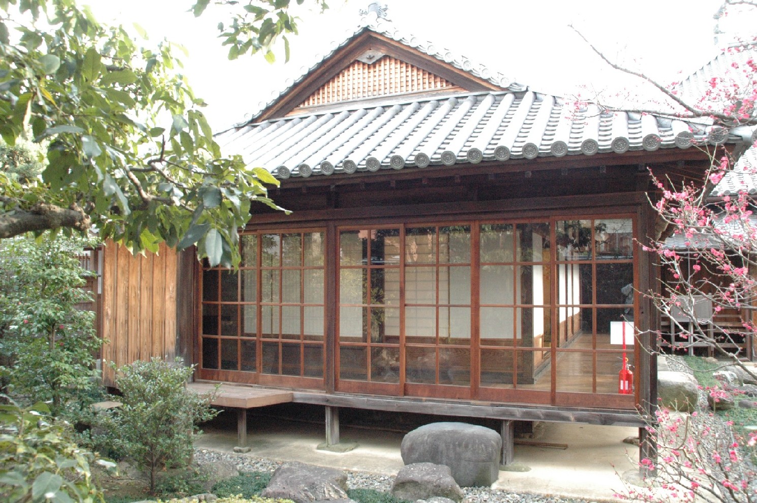 深専寺4