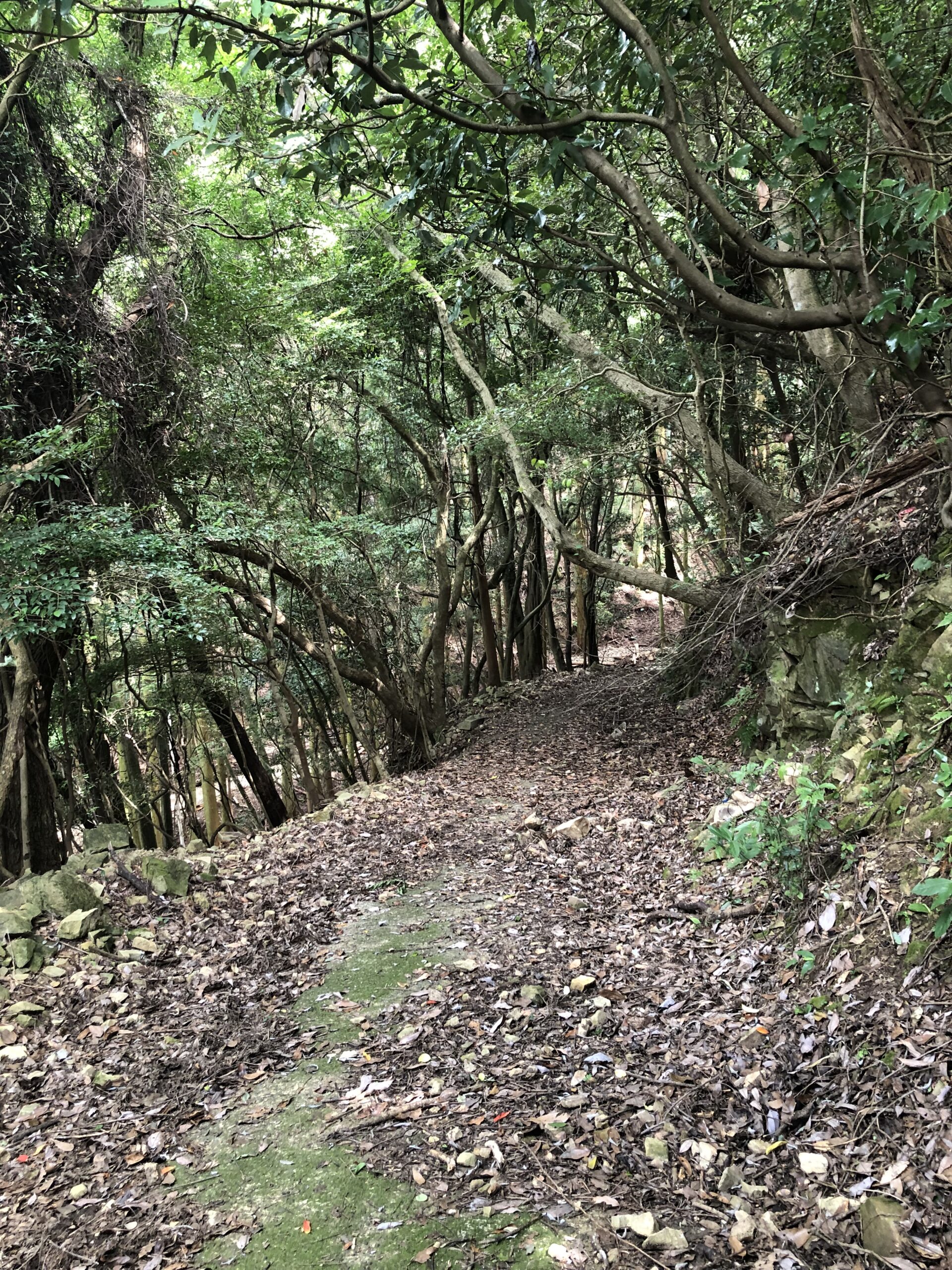 鹿ヶ瀬峠