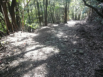 鹿ヶ瀬峠（熊野参詣道 紀伊路）