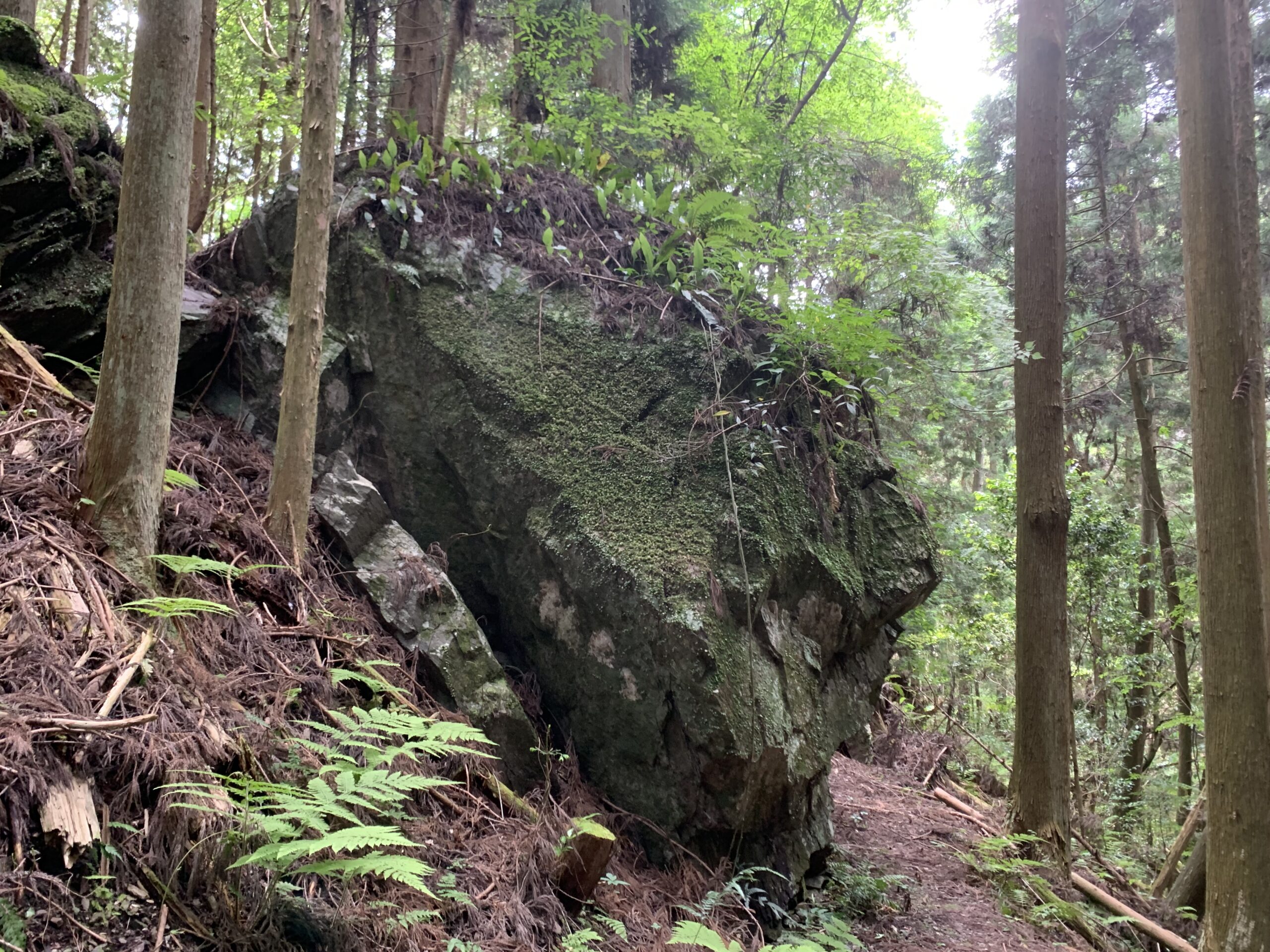 高野参詣道 黒河道3