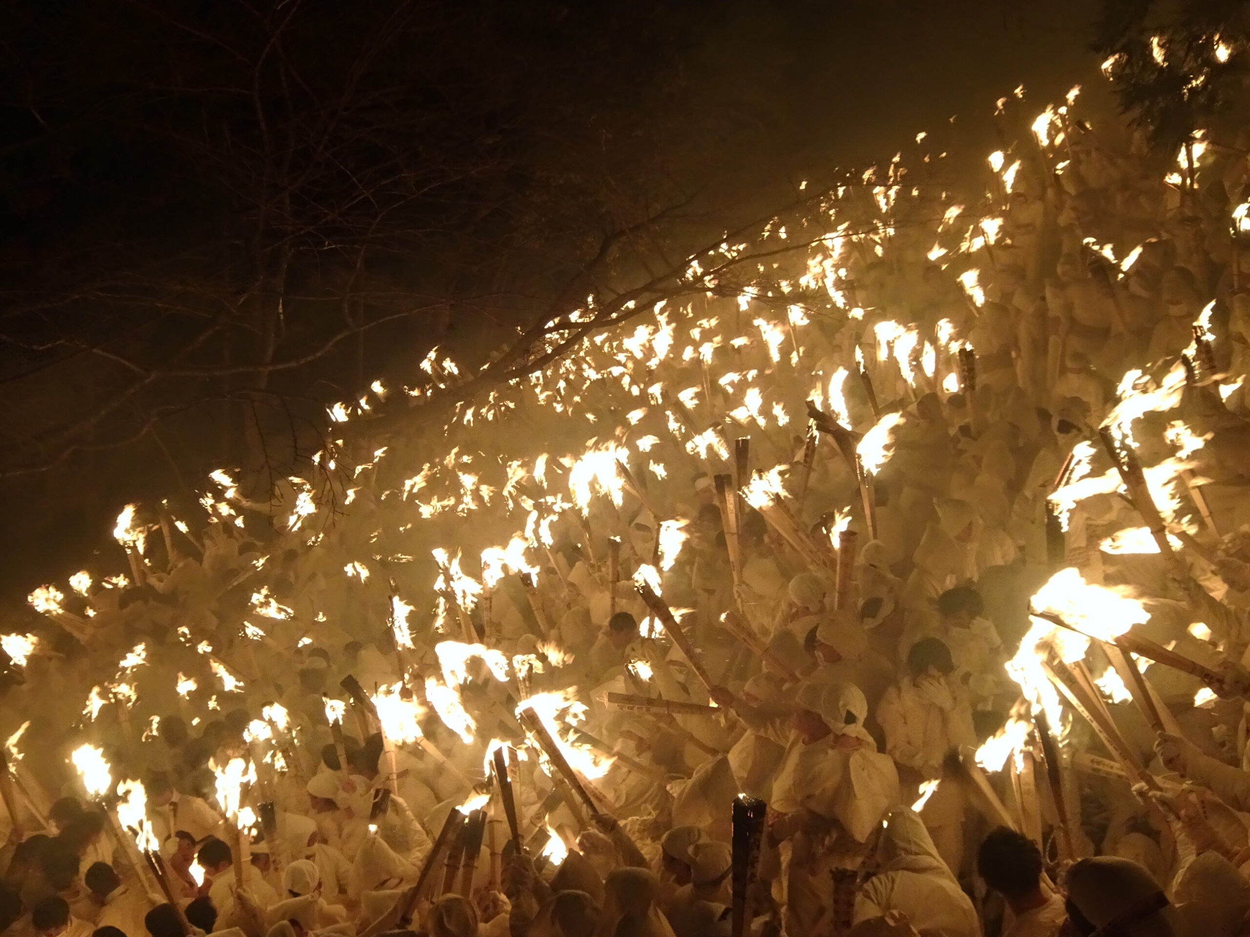 新宮の速玉祭・御燈祭り2