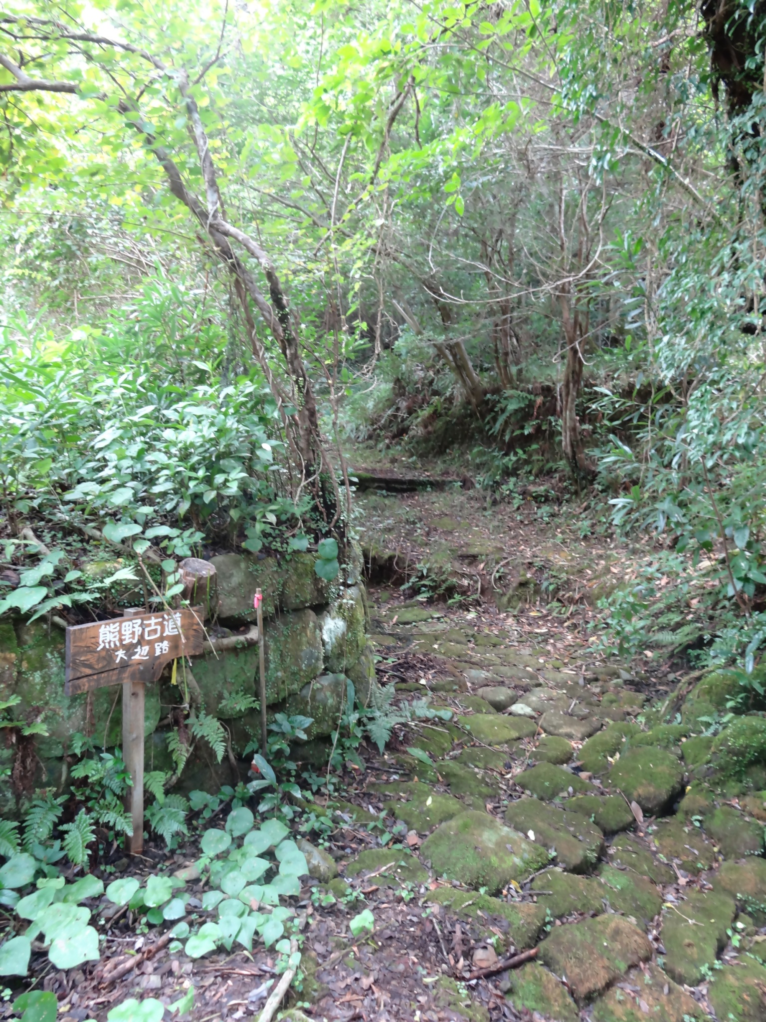 清水峠（熊野参詣道 大辺路）