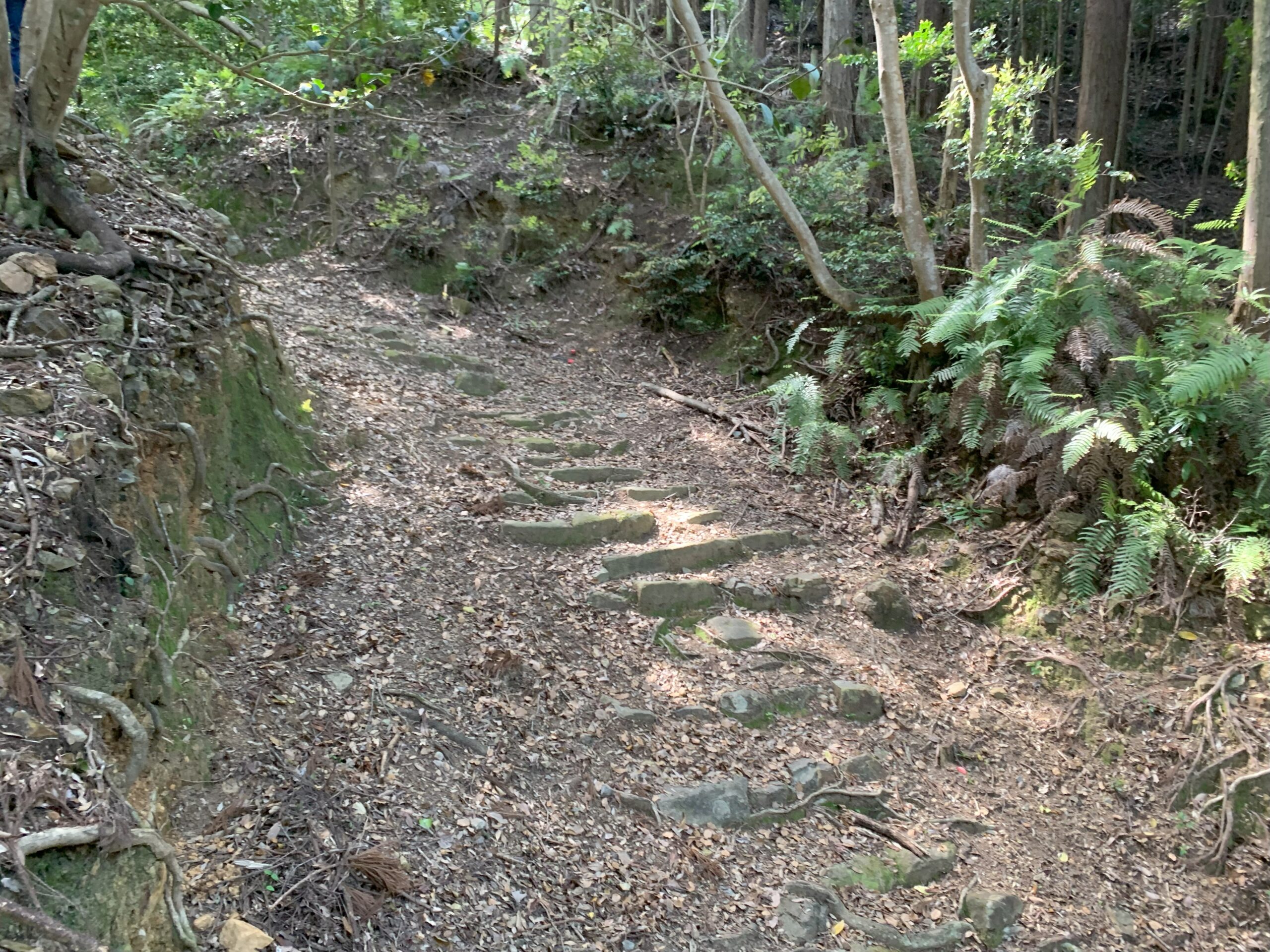 清水峠（熊野参詣道 大辺路）2