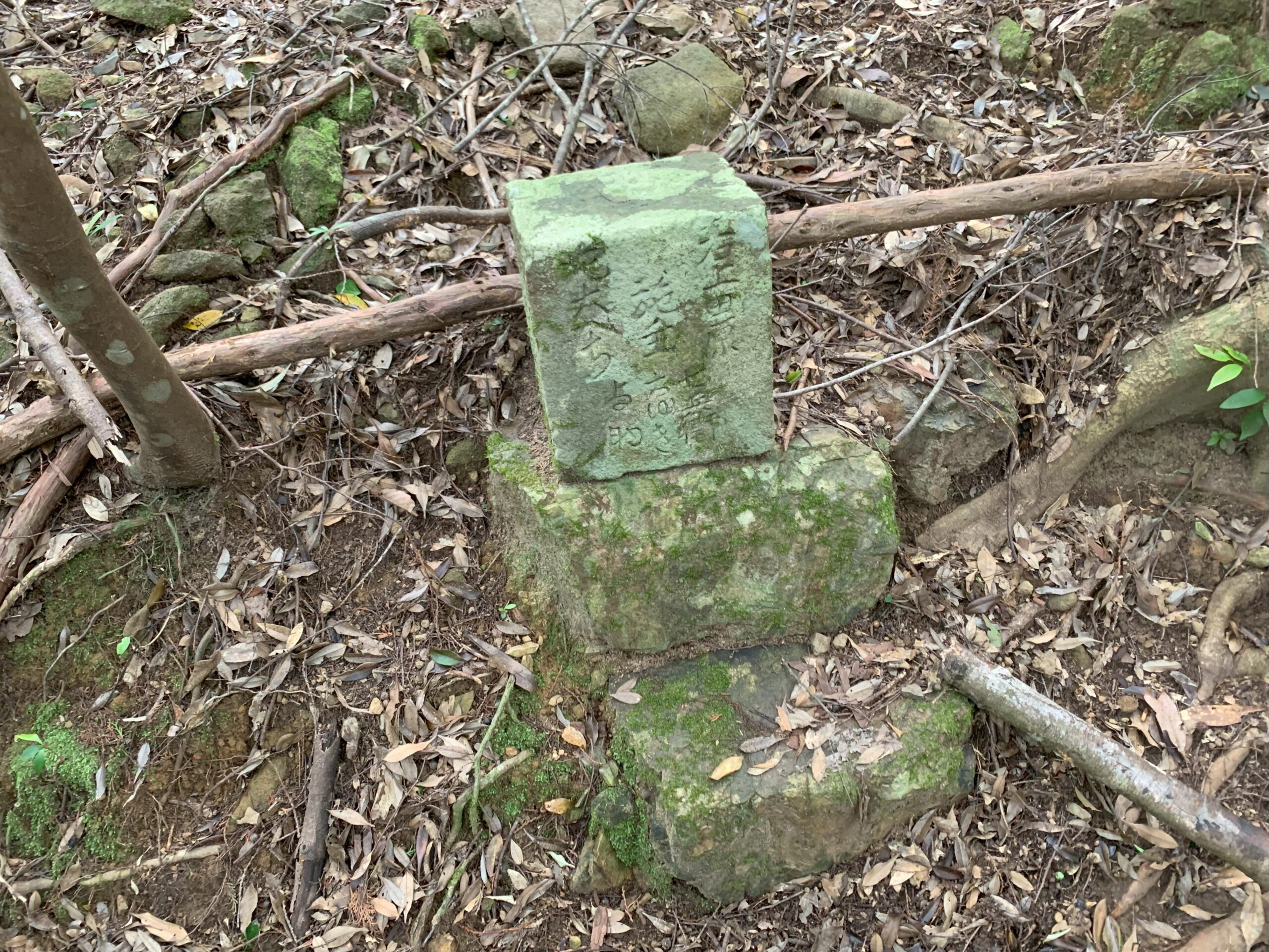 清水峠（熊野参詣道 大辺路）3