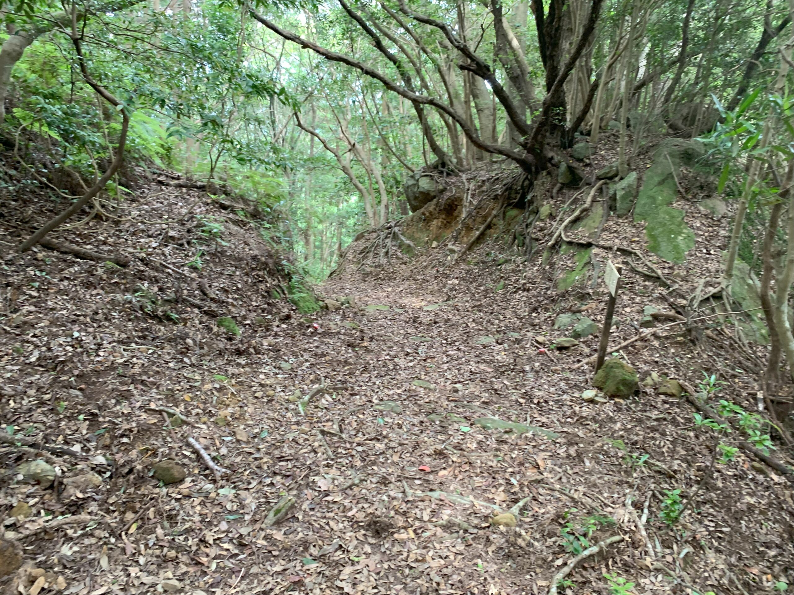 清水峠（熊野参詣道 大辺路）4