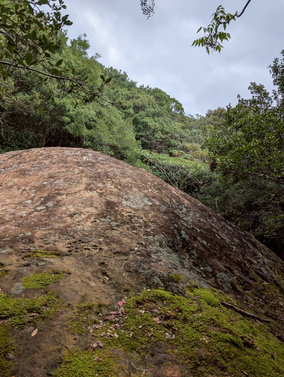 清水峠（熊野参詣道 大辺路）6