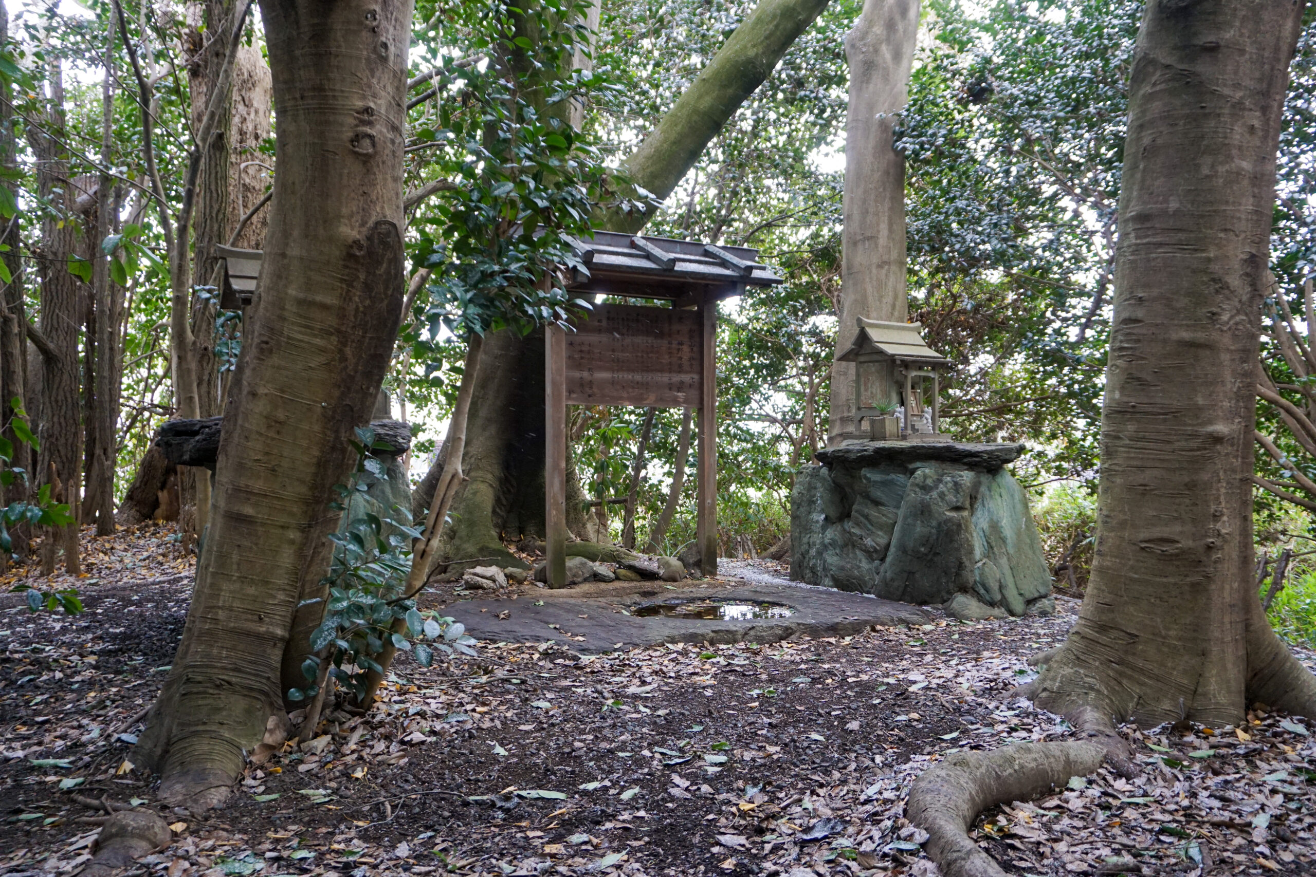 神野々廃寺塔跡