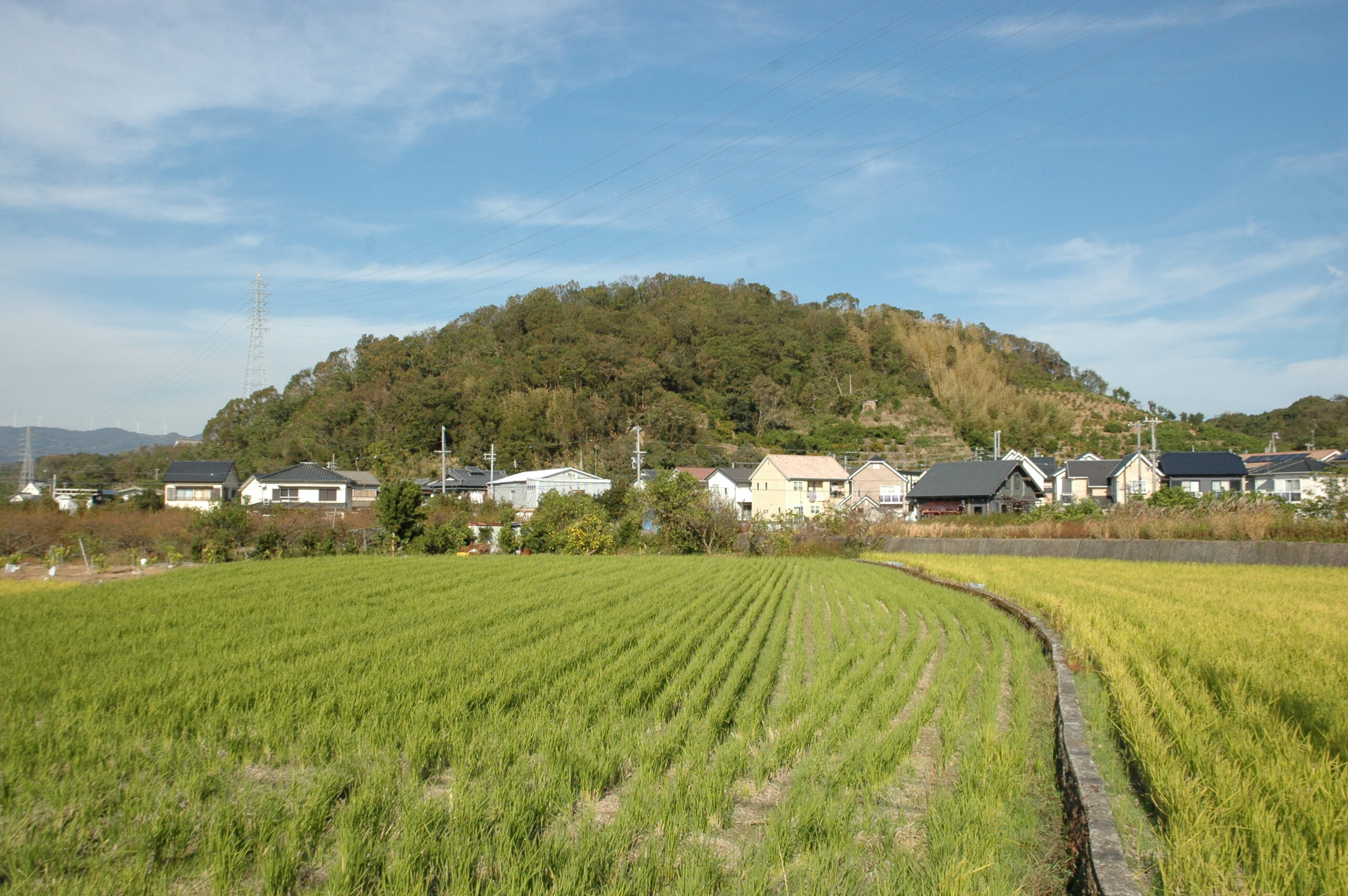 湯浅党城館跡 湯浅城跡 藤並館跡