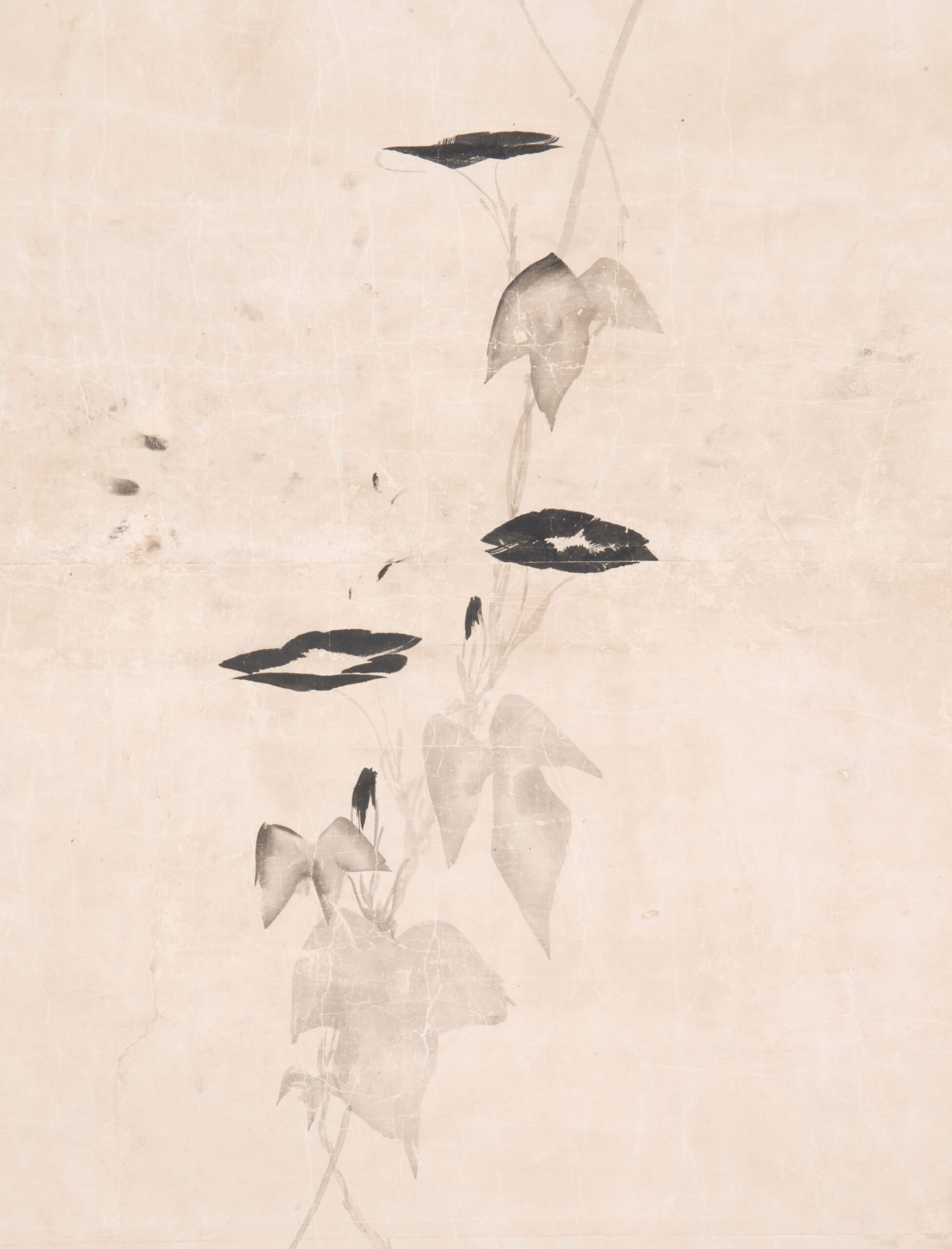 紙本墨画朝顔に蛙図　長沢芦雪筆　襖貼付3