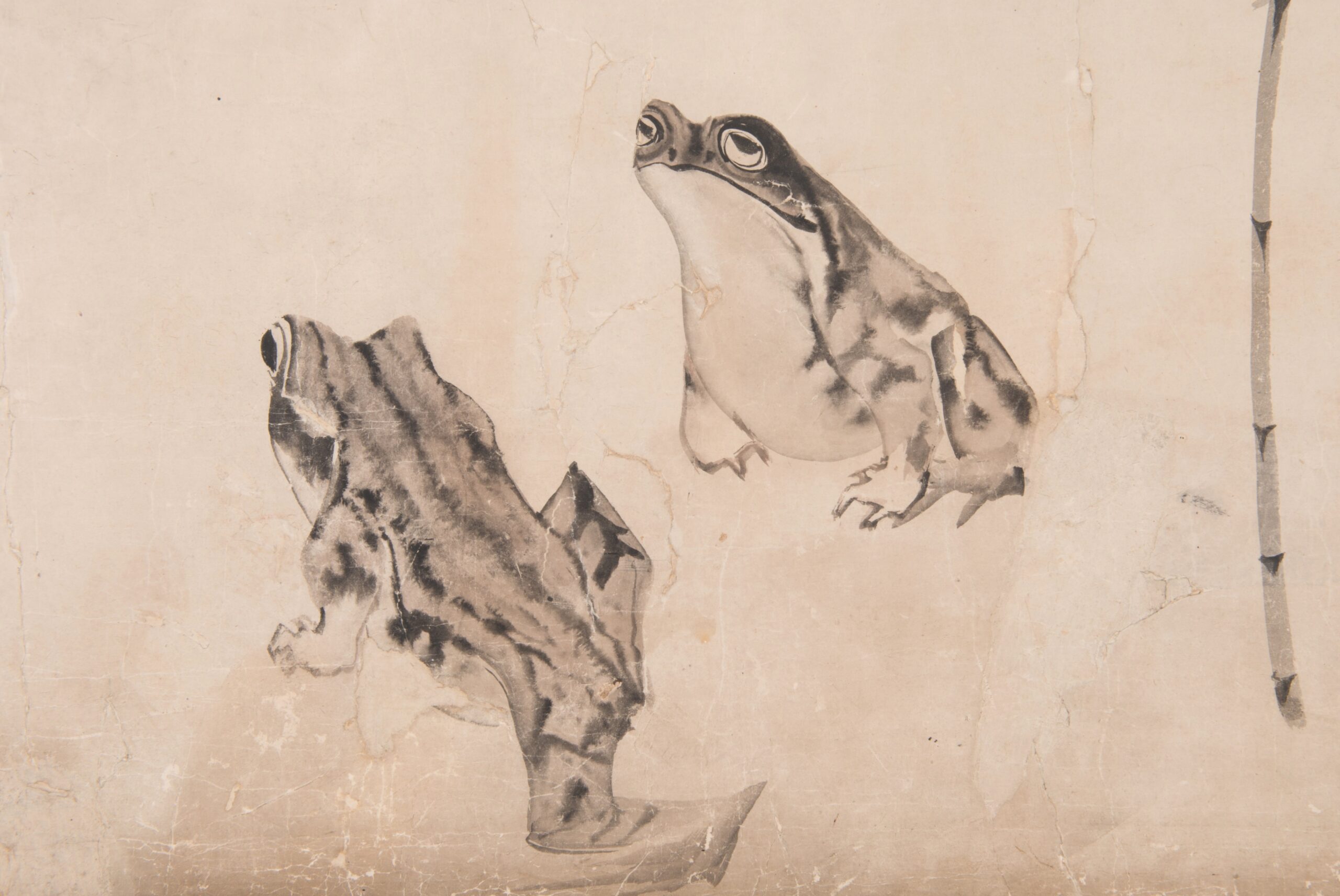 紙本墨画朝顔に蛙図　長沢芦雪筆　襖貼付2